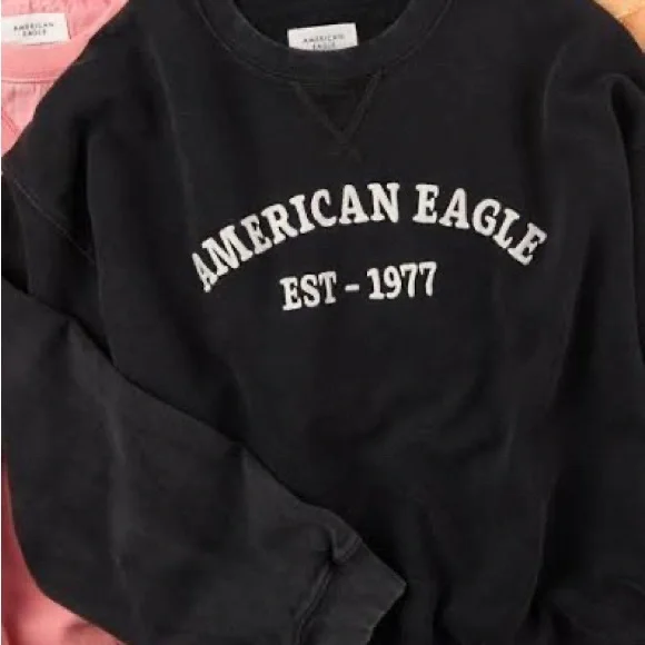 American Eagle Outfitters Charcoal Sweatshirt - Picture 1 of 1